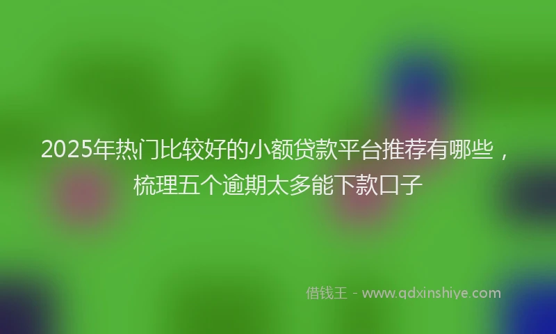 2025年热门比较好的小额贷款平台推荐有哪些，梳理五个逾期太多能下款口子