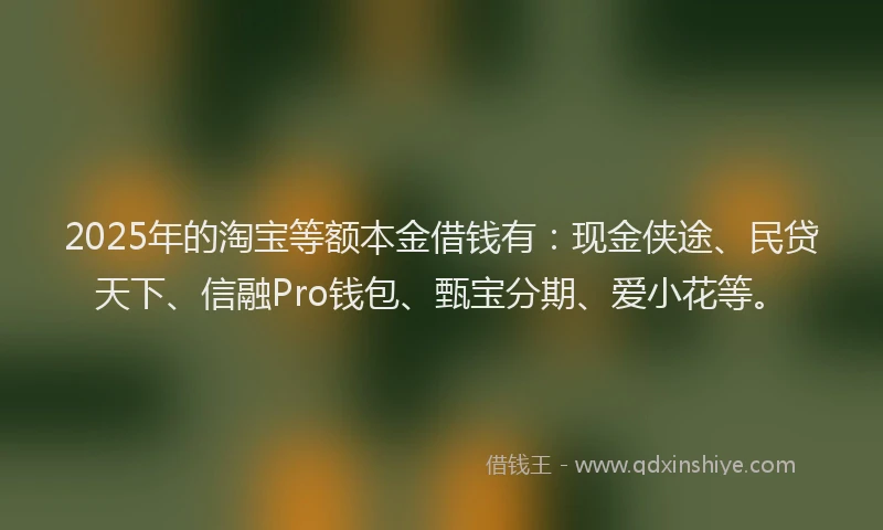 2025年的淘宝等额本金借钱有：现金侠途、民贷天下、信融Pro钱包、甄宝分期、爱小花等。