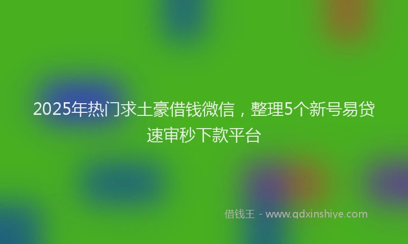 2025年热门求土豪借钱微信，整理5个新号易贷速审秒下款平台