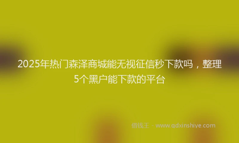 2025年热门森泽商城能无视征信秒下款吗，整理5个黑户能下款的平台