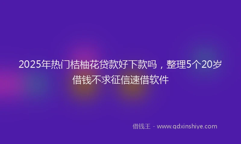 2025年热门桔柚花贷款好下款吗，整理5个20岁借钱不求征信速借软件