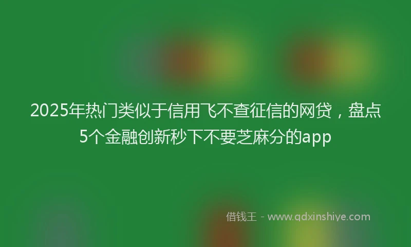 2025年热门类似于信用飞不查征信的网贷，盘点5个金融创新秒下不要芝麻分的app