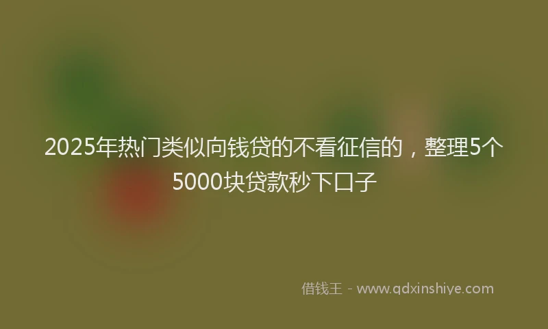 2025年热门类似向钱贷的不看征信的，整理5个5000块贷款秒下口子