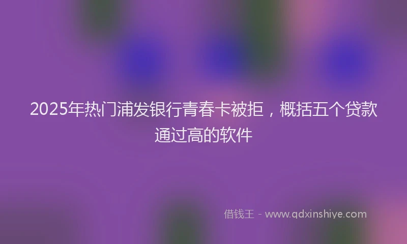 2025年热门浦发银行青春卡被拒，概括五个贷款通过高的软件