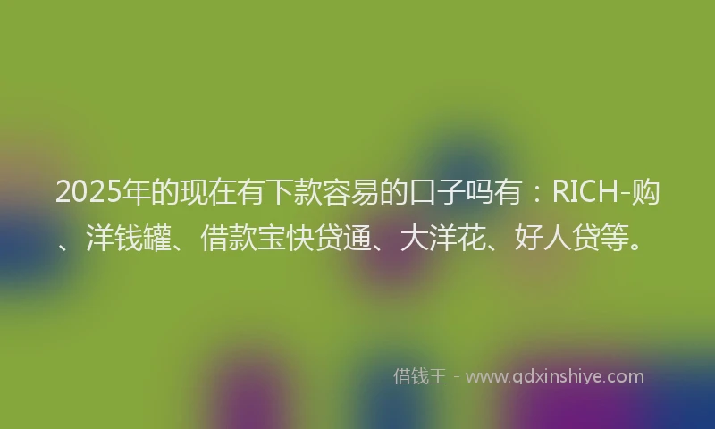 2025年的现在有下款容易的口子吗有：RICH-购、洋钱罐、借款宝快贷通、大洋花、好人贷等。