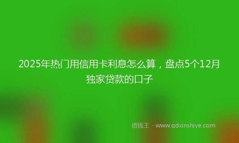 2025年热门用信用卡利息怎么算，盘点5个12月独家贷款的口子