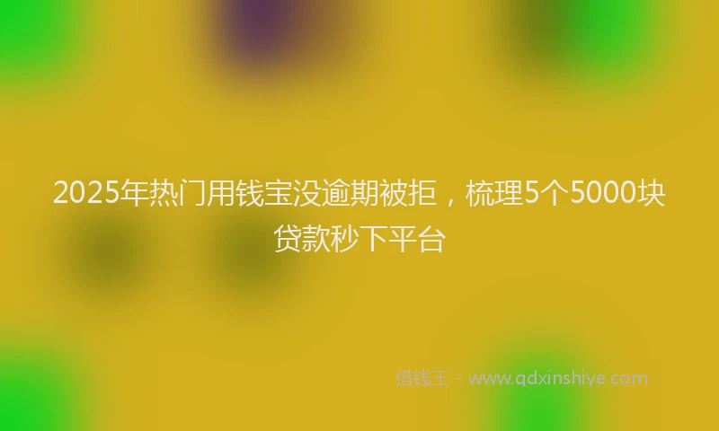 2025年热门用钱宝没逾期被拒，梳理5个5000块贷款秒下平台