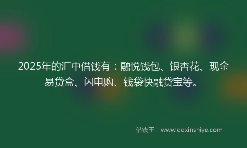 2025年的汇中借钱有：融悦钱包、银杏花、现金易贷盒、闪电购、钱袋快融贷宝等。