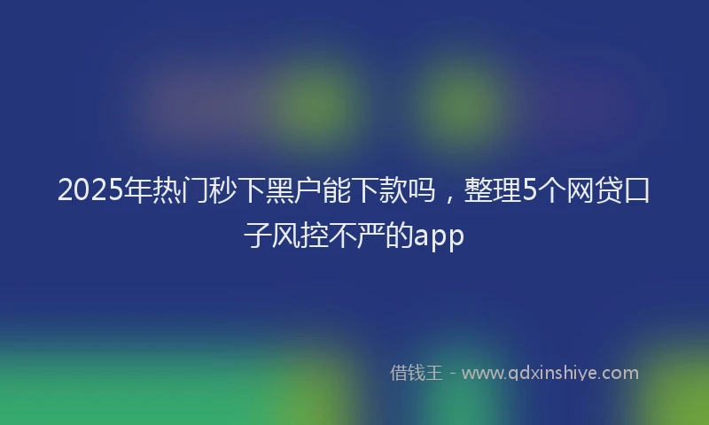 2025年热门秒下黑户能下款吗，整理5个网贷口子风控不严的app