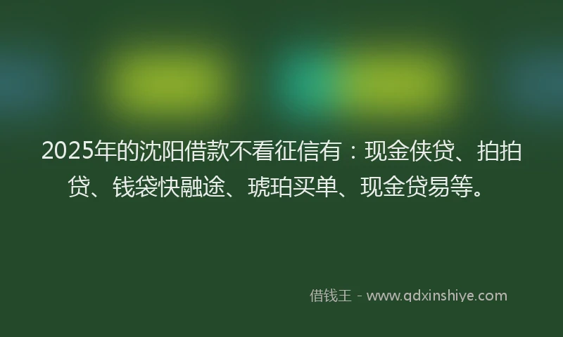 2025年的沈阳借款不看征信有：现金侠贷、拍拍贷、钱袋快融途、琥珀买单、现金贷易等。