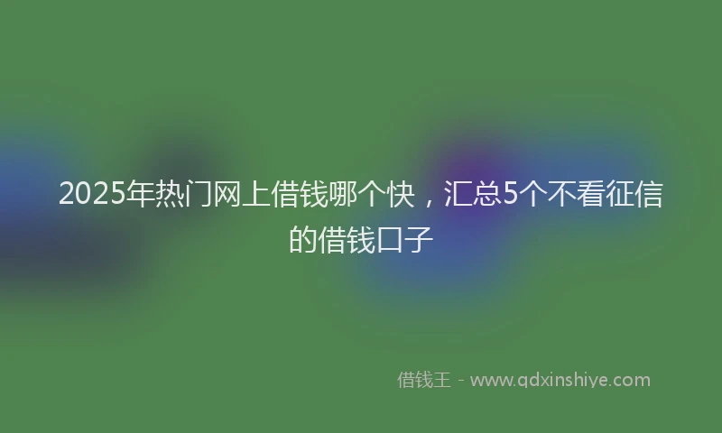2025年热门网上借钱哪个快，汇总5个不看征信的借钱口子