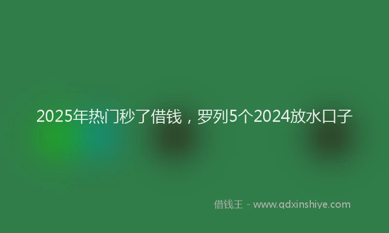 2025年热门秒了借钱，罗列5个2024放水口子