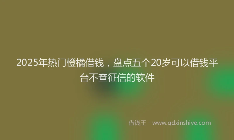 2025年热门橙橘借钱，盘点五个20岁可以借钱平台不查征信的软件