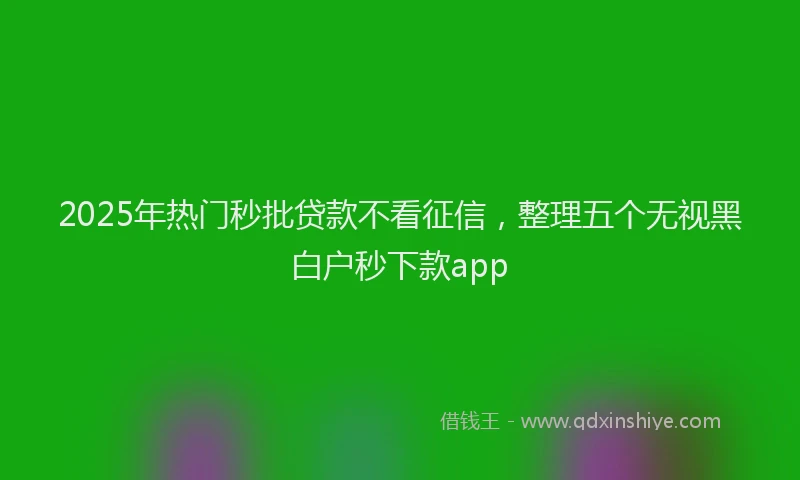2025年热门秒批贷款不看征信，整理五个无视黑白户秒下款app