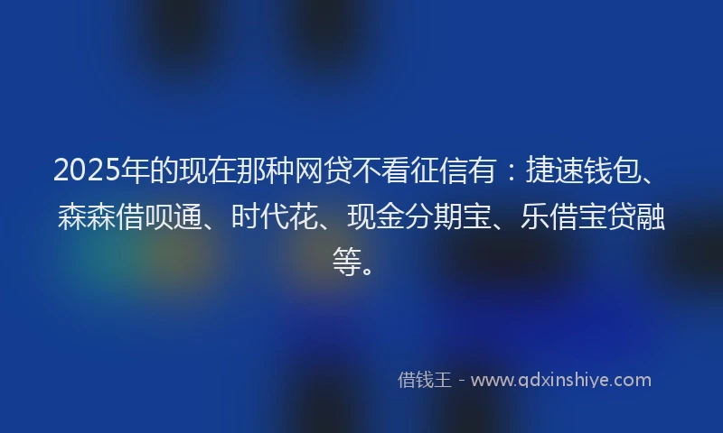 2025年的现在那种网贷不看征信有：捷速钱包、森森借呗通、时代花、现金分期宝、乐借宝贷融等。