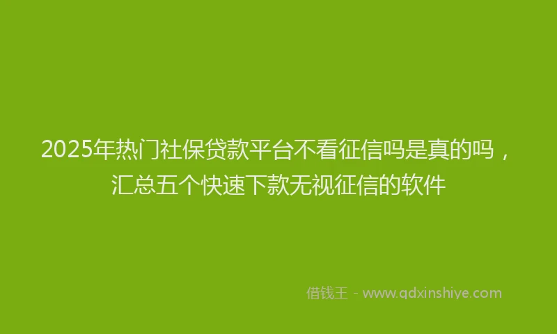 2025年热门社保贷款平台不看征信吗是真的吗，汇总五个快速下款无视征信的软件
