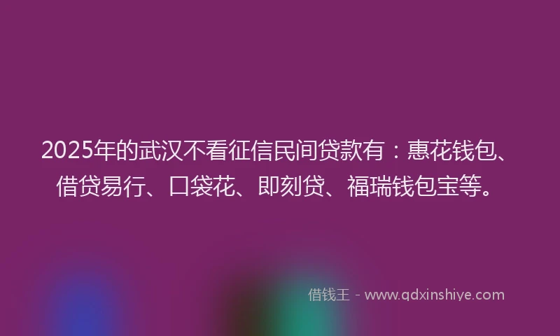 2025年的武汉不看征信民间贷款有：惠花钱包、借贷易行、口袋花、即刻贷、福瑞钱包宝等。