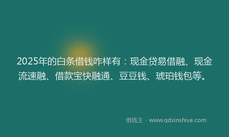 2025年的白条借钱咋样有：现金贷易借融、现金流速融、借款宝快融通、豆豆钱、琥珀钱包等。
