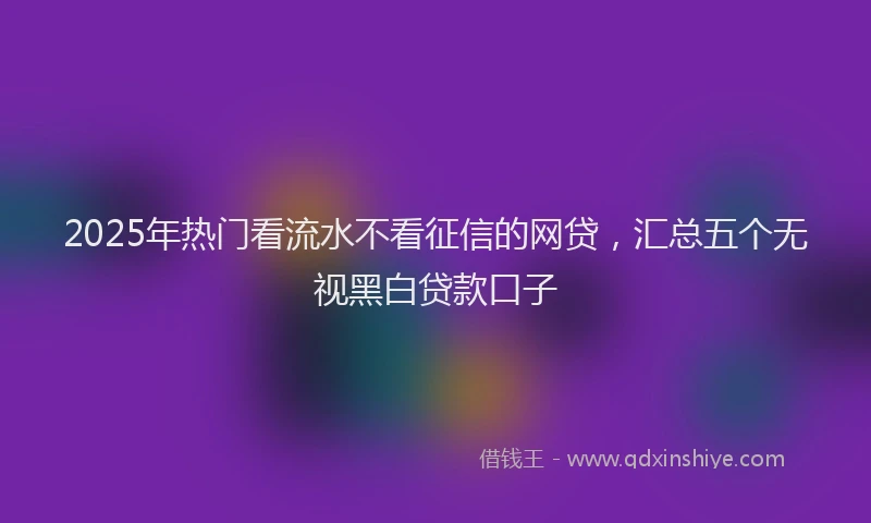 2025年热门看流水不看征信的网贷，汇总五个无视黑白贷款口子