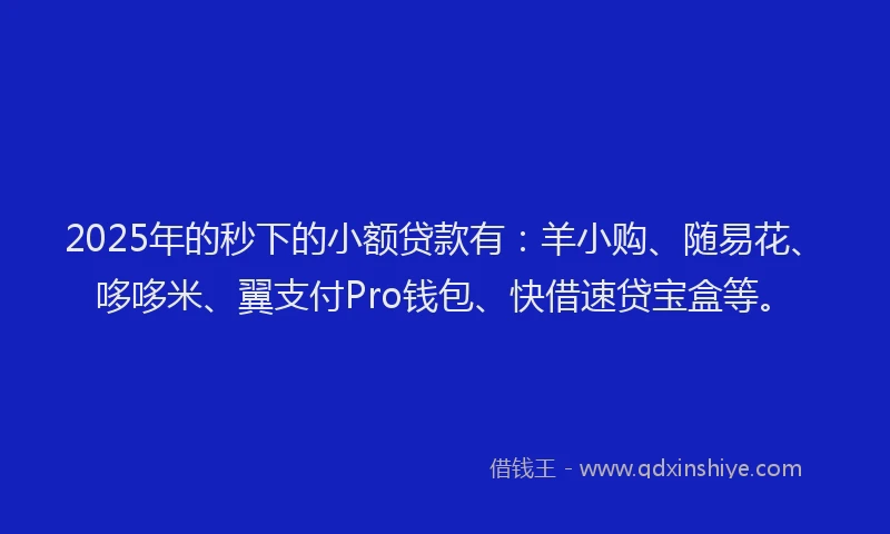 2025年的秒下的小额贷款有：羊小购、随易花、哆哆米、翼支付Pro钱包、快借速贷宝盒等。