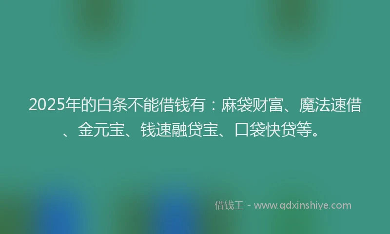 2025年的白条不能借钱有：麻袋财富、魔法速借、金元宝、钱速融贷宝、口袋快贷等。