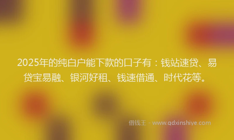 2025年的纯白户能下款的口子有：钱站速贷、易贷宝易融、银河好租、钱速借通、时代花等。