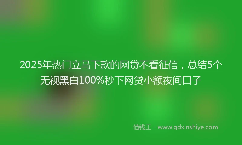 2025年热门立马下款的网贷不看征信，总结5个无视黑白100%秒下网贷小额夜间口子