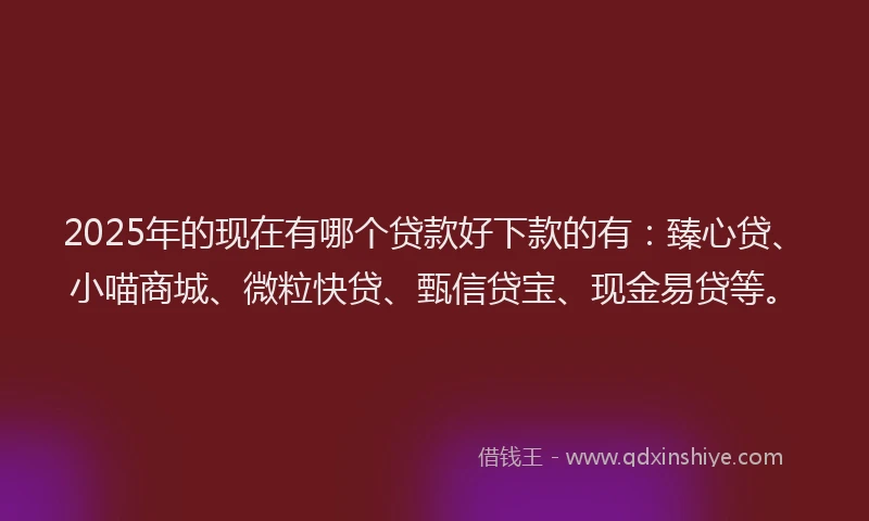 2025年的现在有哪个贷款好下款的有：臻心贷、小喵商城、微粒快贷、甄信贷宝、现金易贷等。