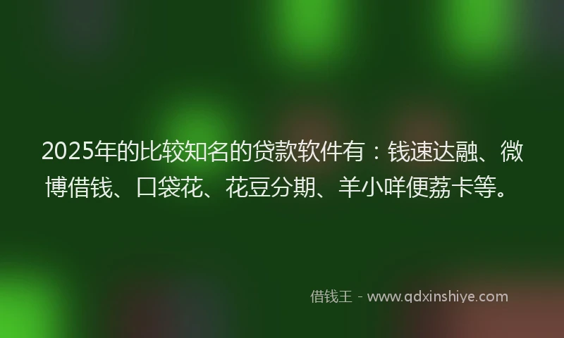 2025年的比较知名的贷款软件有：钱速达融、微博借钱、口袋花、花豆分期、羊小咩便荔卡等。