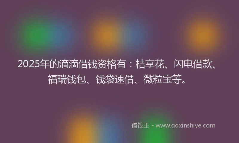 2025年的滴滴借钱资格有：桔享花、闪电借款、福瑞钱包、钱袋速借、微粒宝等。