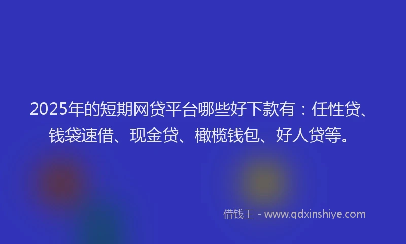 2025年的短期网贷平台哪些好下款有：任性贷、钱袋速借、现金贷、橄榄钱包、好人贷等。