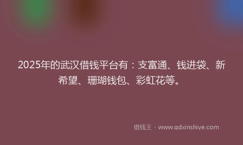 2025年的武汉借钱平台有：支富通、钱进袋、新希望、珊瑚钱包、彩虹花等。