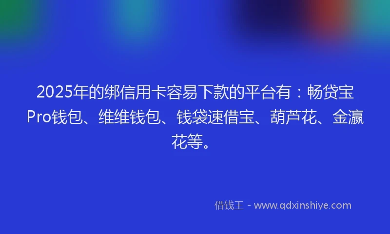 2025年的绑信用卡容易下款的平台有：畅贷宝Pro钱包、维维钱包、钱袋速借宝、葫芦花、金瀛花等。