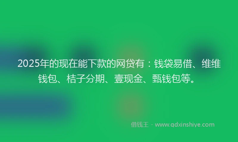 2025年的现在能下款的网贷有：钱袋易借、维维钱包、桔子分期、壹现金、甄钱包等。