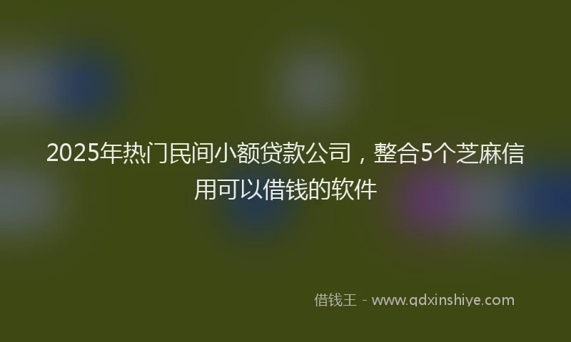 2025年热门民间小额贷款公司，整合5个芝麻信用可以借钱的软件