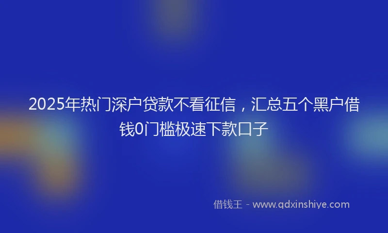 2025年热门深户贷款不看征信，汇总五个黑户借钱0门槛极速下款口子