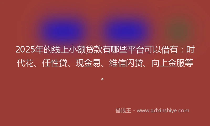 2025年的线上小额贷款有哪些平台可以借有：时代花、任性贷、现金易、维信闪贷、向上金服等。