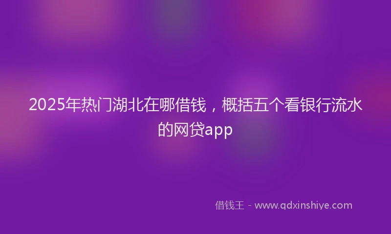 2025年热门湖北在哪借钱，概括五个看银行流水的网贷app