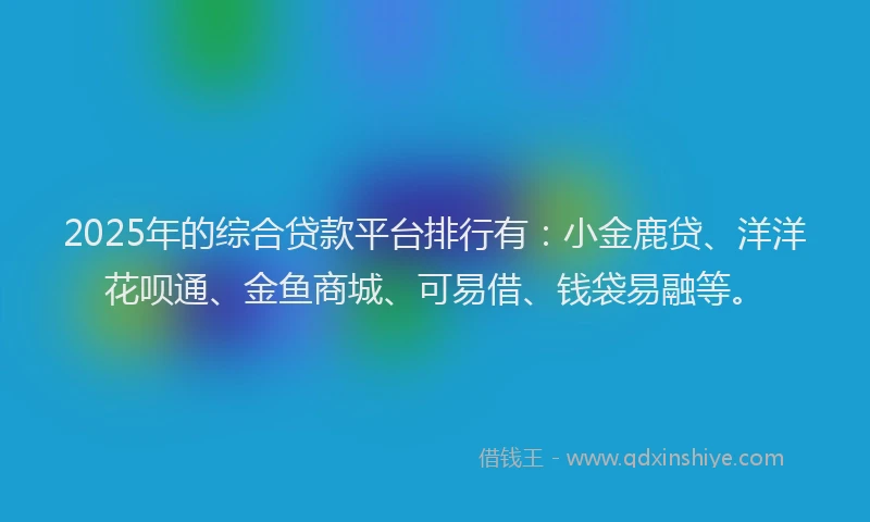 2025年的综合贷款平台排行有：小金鹿贷、洋洋花呗通、金鱼商城、可易借、钱袋易融等。