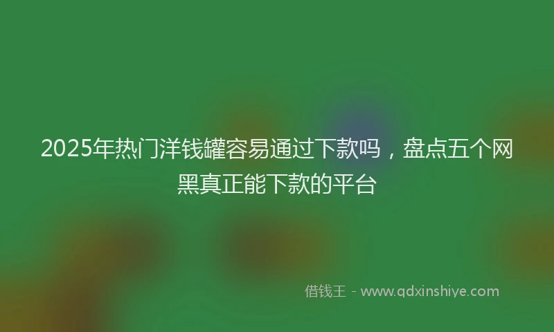2025年热门洋钱罐容易通过下款吗，盘点五个网黑真正能下款的平台