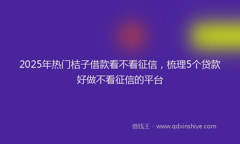 2025年热门桔子借款看不看征信，梳理5个贷款好做不看征信的平台