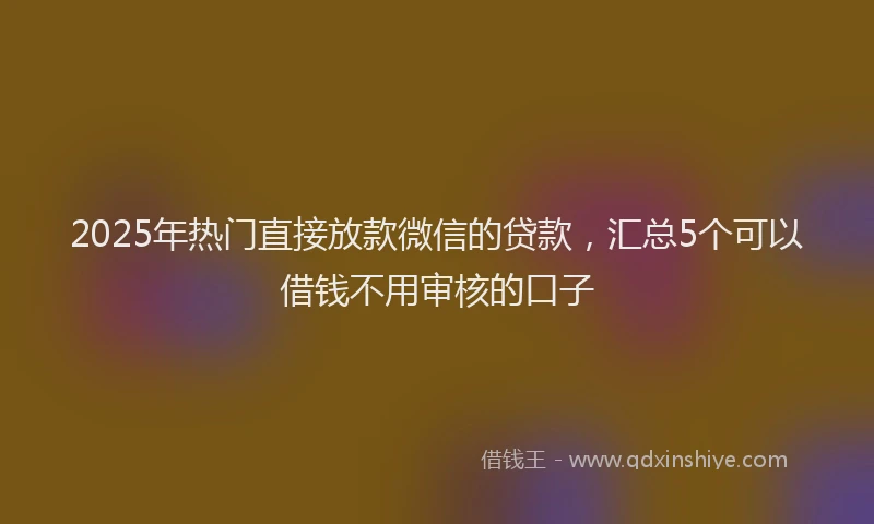 2025年热门直接放款微信的贷款，汇总5个可以借钱不用审核的口子