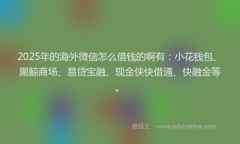 2025年的海外微信怎么借钱的啊有：小花钱包、黑鲸商场、易贷宝融、现金侠快借通、快融金等。