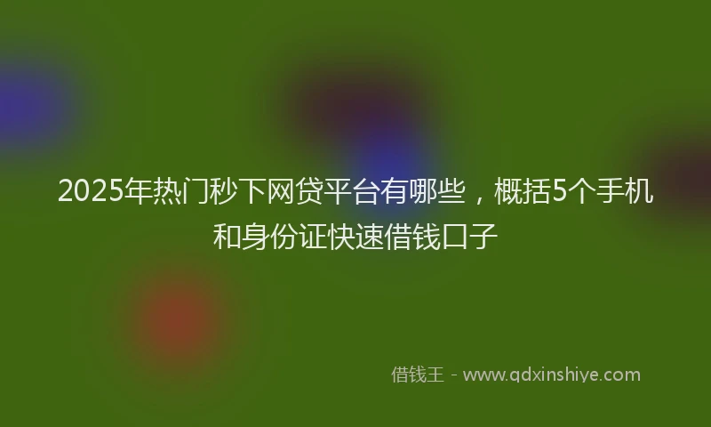 2025年热门秒下网贷平台有哪些，概括5个手机和身份证快速借钱口子