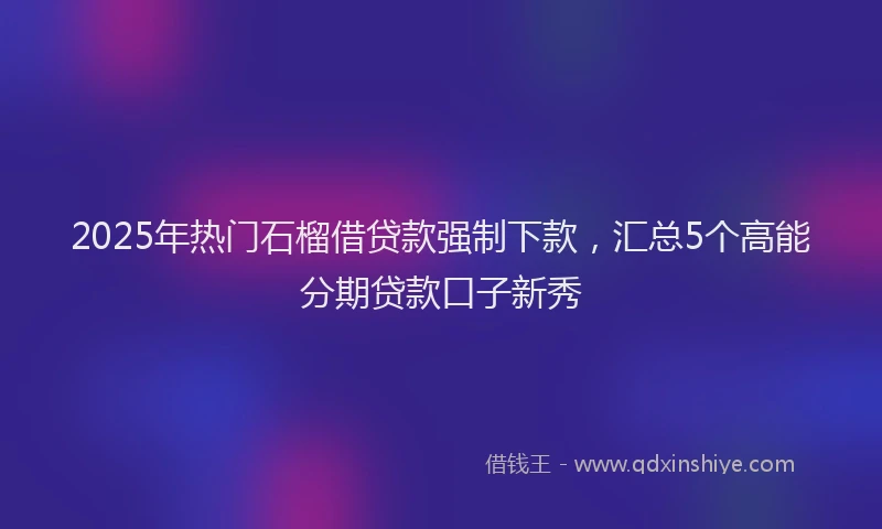 2025年热门石榴借贷款强制下款，汇总5个高能分期贷款口子新秀