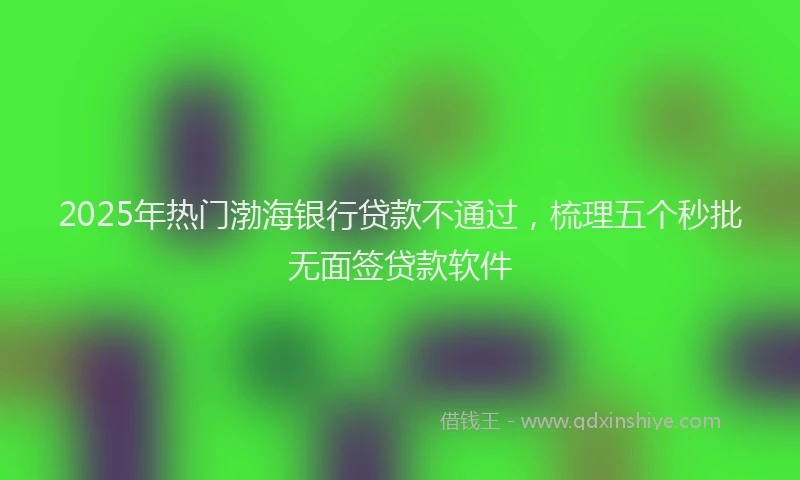 2025年热门渤海银行贷款不通过，梳理五个秒批无面签贷款软件