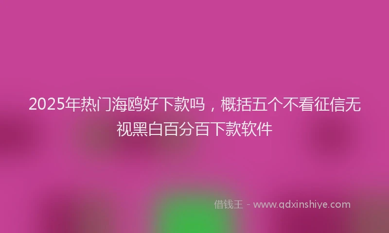 2025年热门海鸥好下款吗，概括五个不看征信无视黑白百分百下款软件