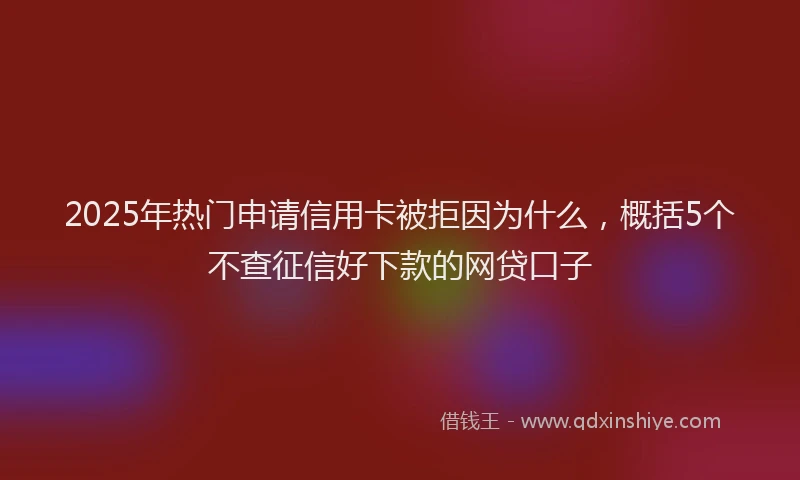 2025年热门申请信用卡被拒因为什么，概括5个不查征信好下款的网贷口子