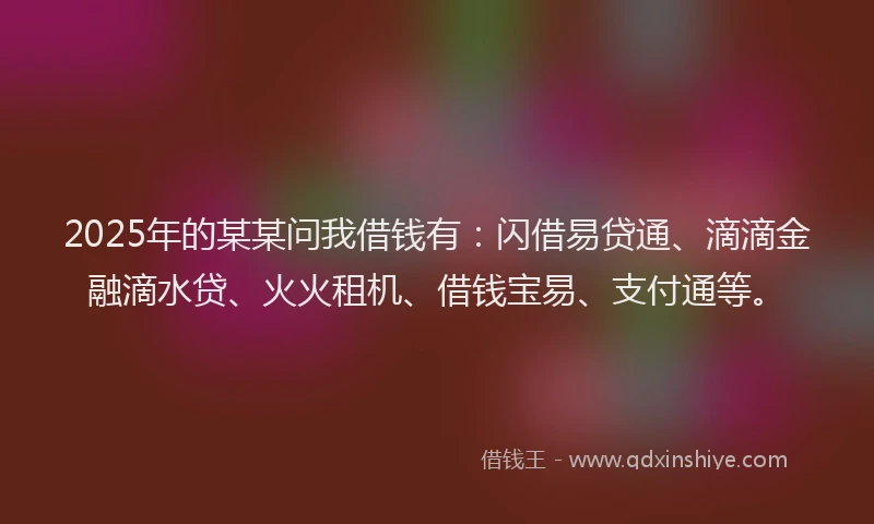 2025年的某某问我借钱有：闪借易贷通、滴滴金融滴水贷、火火租机、借钱宝易、支付通等。