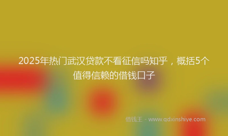 2025年热门武汉贷款不看征信吗知乎，概括5个值得信赖的借钱口子
